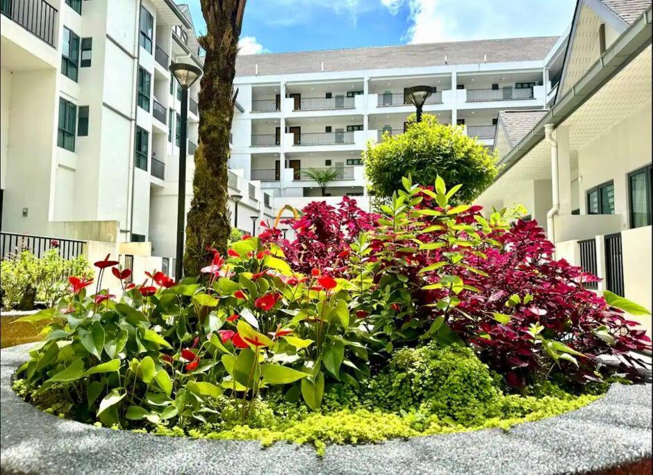 Hello Kitty Homestay - Cameron Highlands - Spacious Studio - Perfect For Families - Sleeps 4 And Baby تاناه راتا المظهر الخارجي الصورة